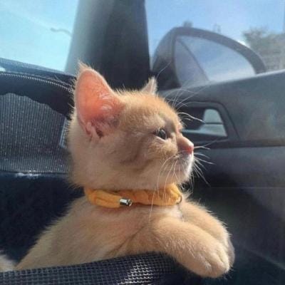 Lesti Kejora profile picture